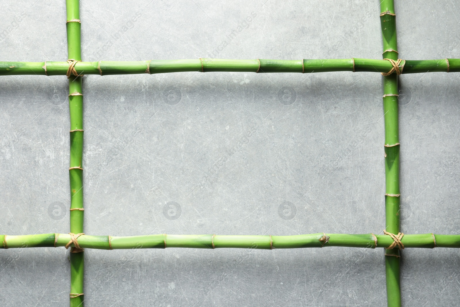 Photo of Green bamboo stems and space for text on grey background, top view