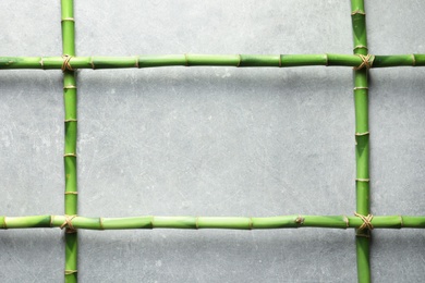 Green bamboo stems and space for text on grey background, top view