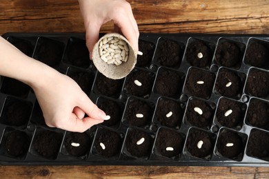 Photo of Woman planting beans into fertile soil at wooden table, closeup. Vegetable seeds