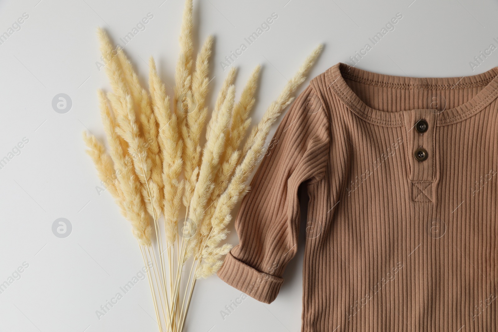 Photo of Baby bodysuit and spikelets on white background, top view