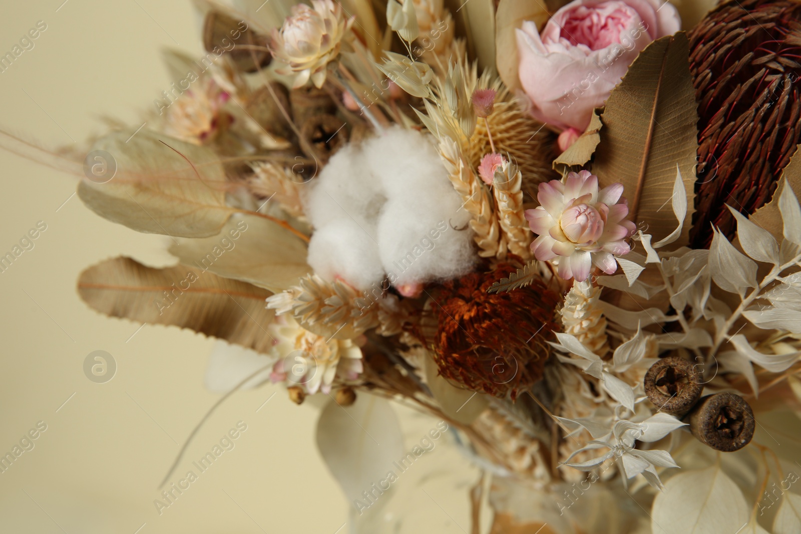 Photo of Beautiful elegant dried flower bouquet near beige wall, closeup view