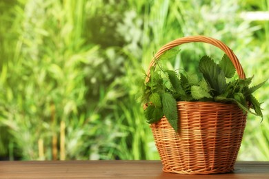 Photo of Fresh nettle in wicker basket on wooden table outdoors, space for text