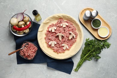 Flat lay composition with raw dough and ingredients on light grey table. Baking meat pie