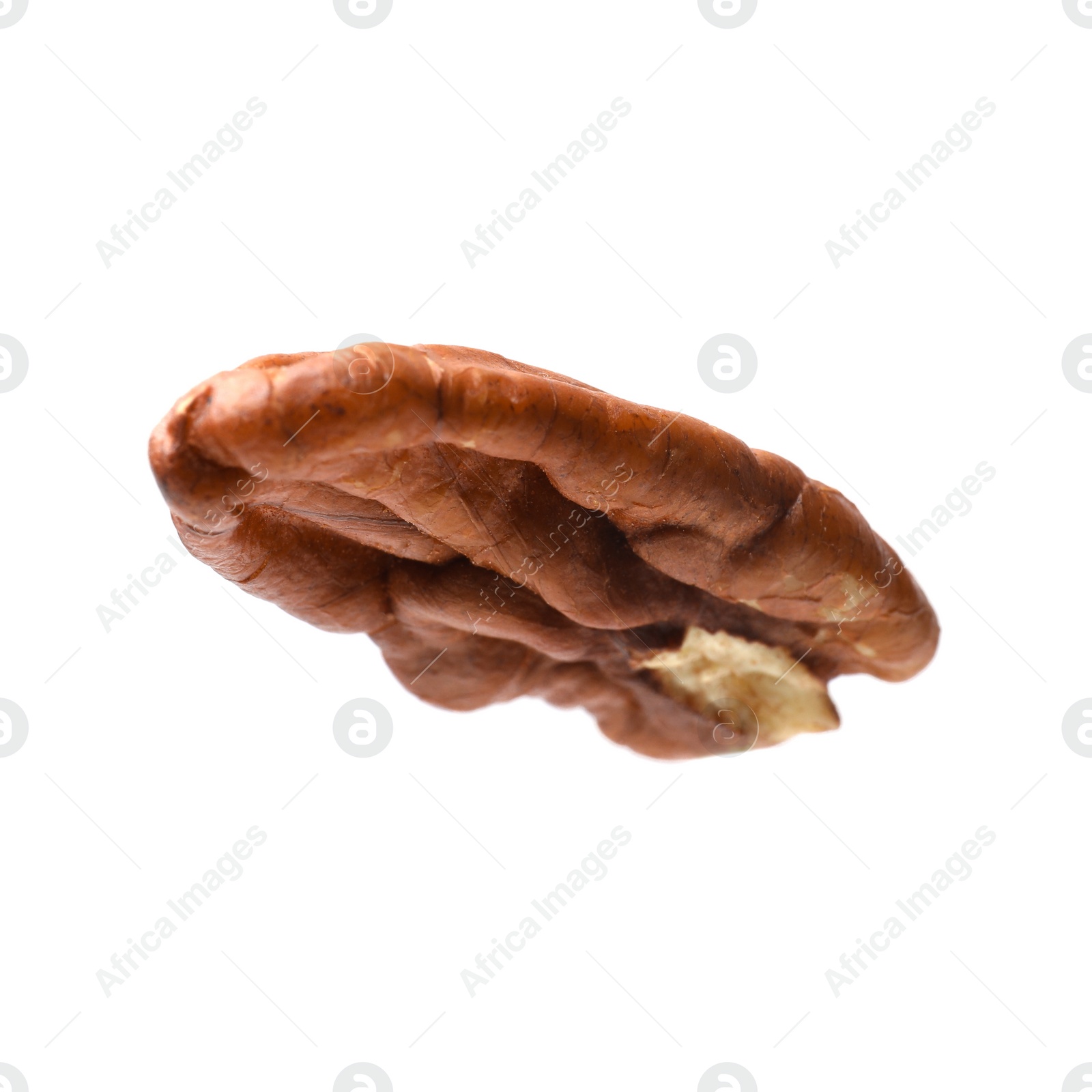 Photo of One tasty pecan nut isolated on white