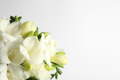 Photo of Beautiful freesia flowers on white background, closeup