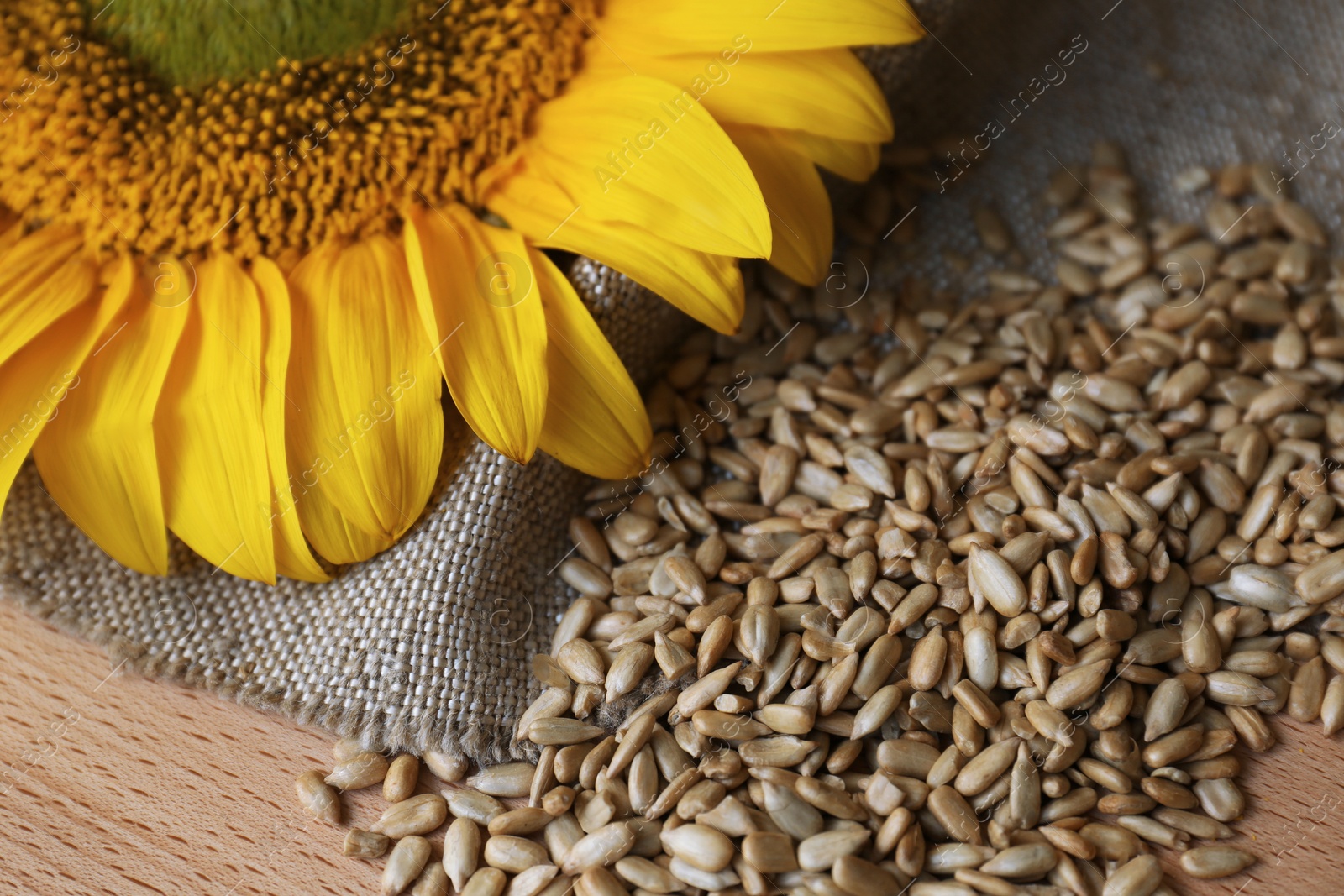Photo of Organic sunflower seeds and flower on wooden table, closeup