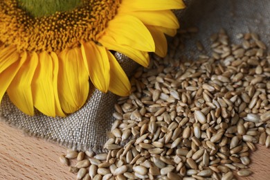 Organic sunflower seeds and flower on wooden table, closeup