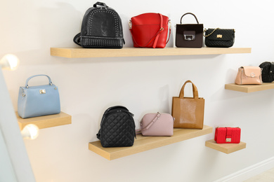 Photo of Stylish woman's bags on shelves in boutique