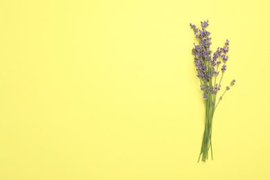 Photo of Beautiful lavender flowers on yellow background, top view. Space for text