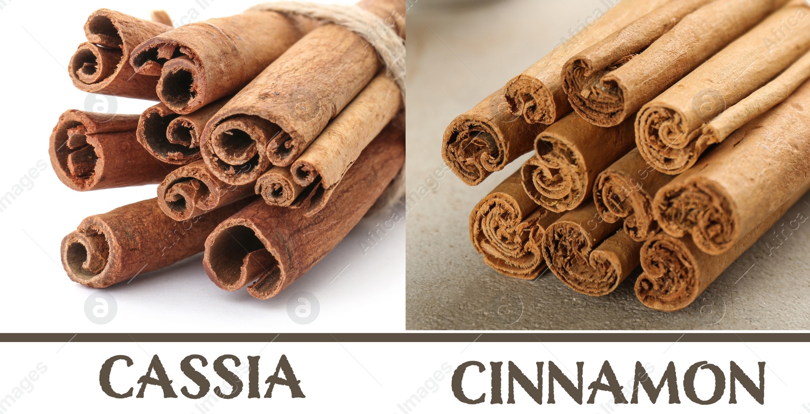 Image of Collage with photos of cassia and ceylon cinnamon sticks, closeup. Banner design