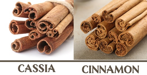 Image of Collage with photos of cassia and ceylon cinnamon sticks, closeup. Banner design