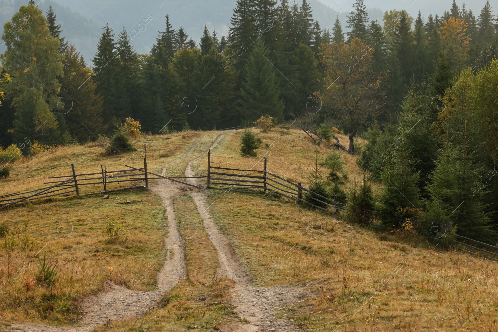 Photo of Picturesque view of countryside landscape with forest and wooden fence