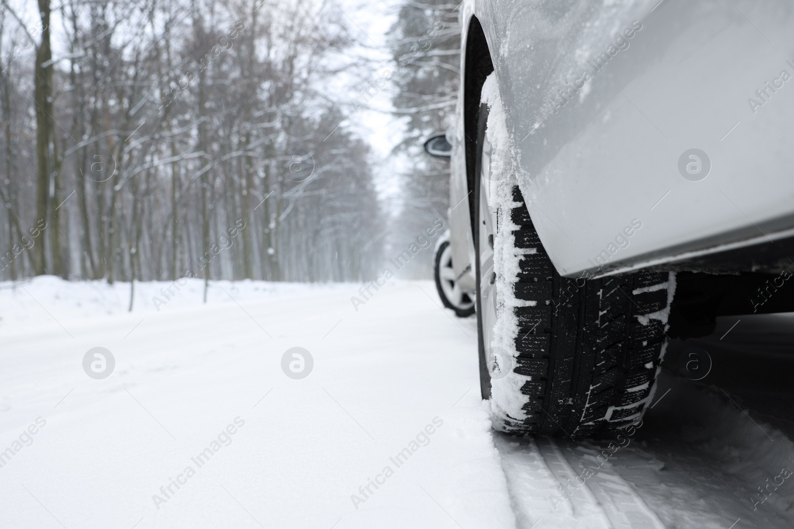 Photo of Car with winter tires on snowy road in forest, closeup. Space for text