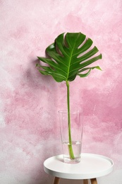 Photo of Vase with tropical monstera leaf on table near color wall