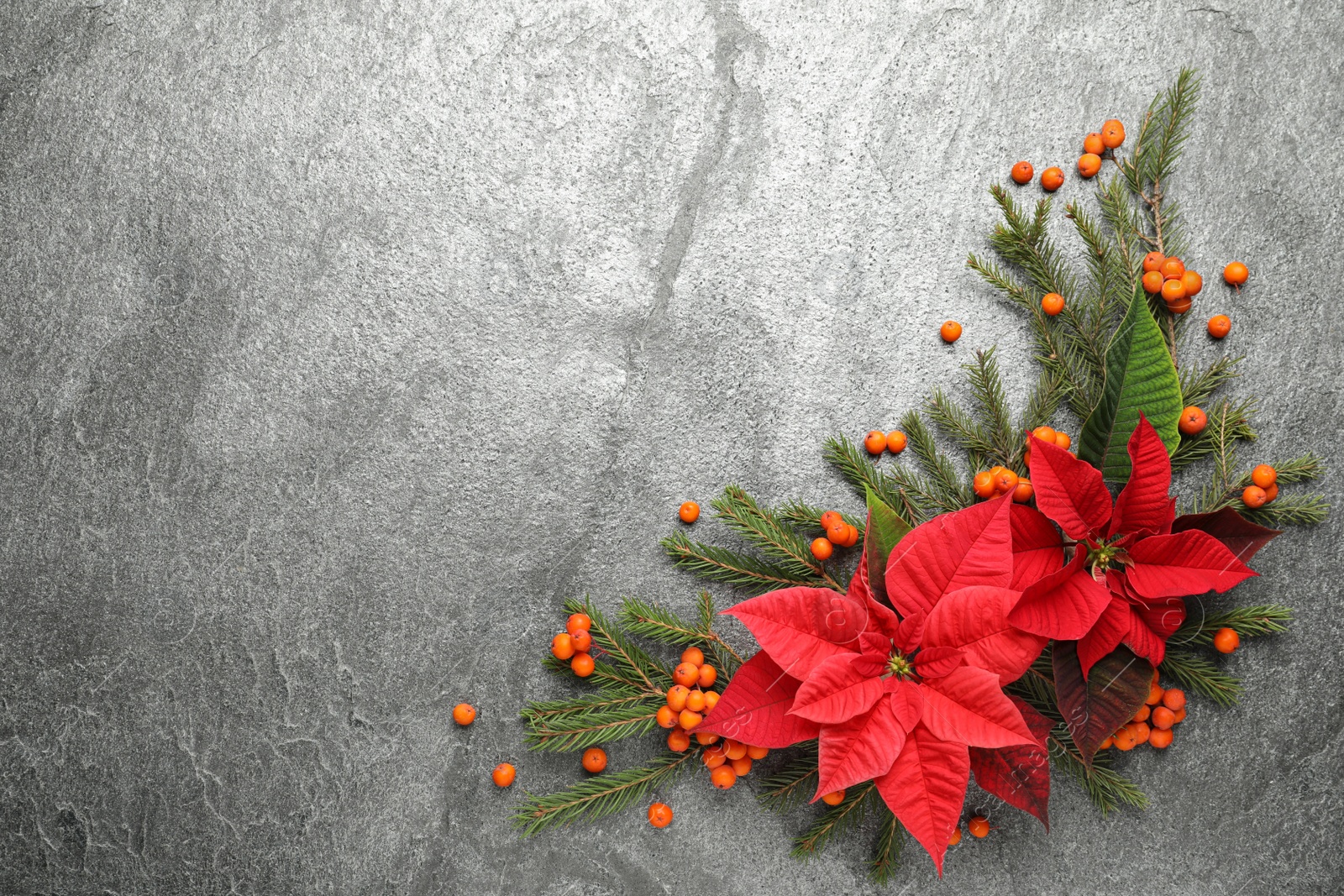 Photo of Flat lay composition with beautiful poinsettia on grey background, space for text. Christmas traditional flower