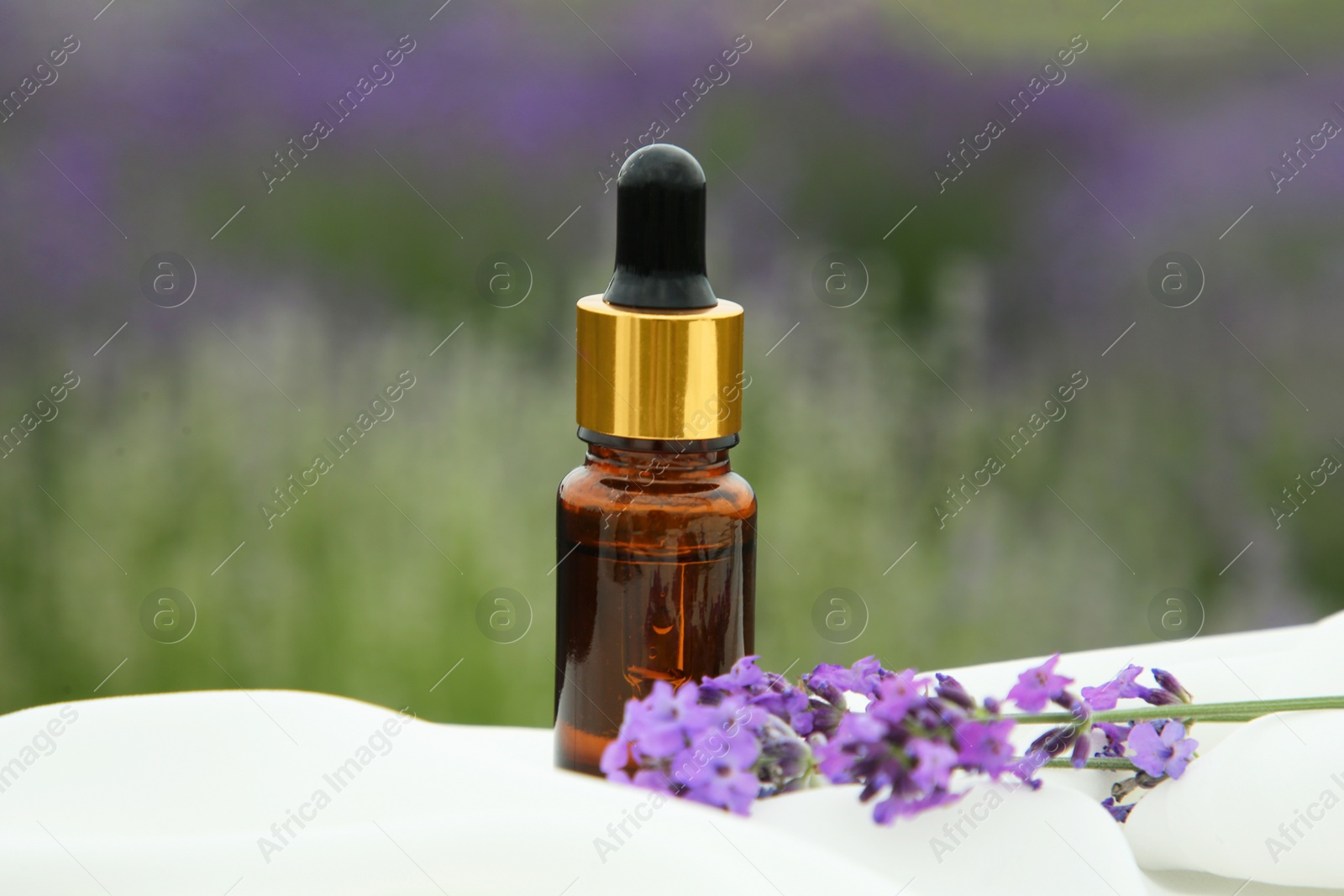 Photo of Essential oil and lavender flowers on table covered with white fabric in field