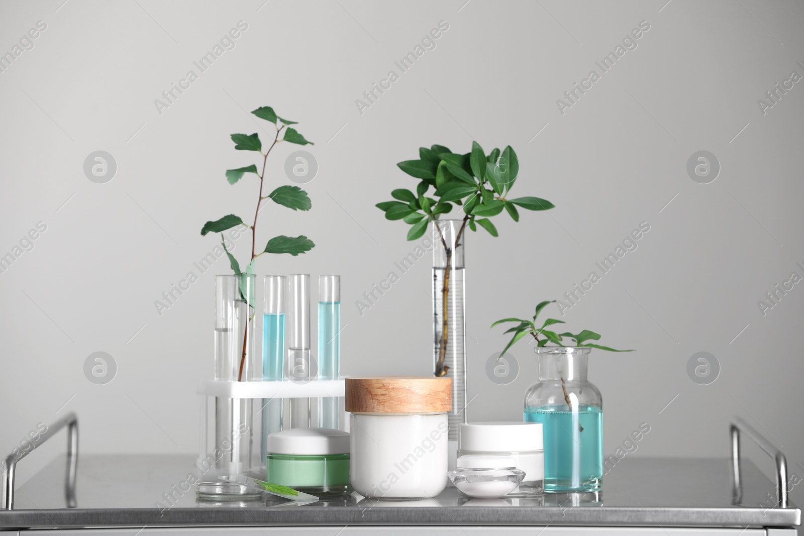 Photo of Many containers and glass tubes with leaves on metal table against light grey background