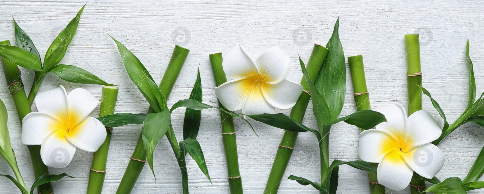 Image of Spa treatment. Flat lay composition with green bamboo stems on white wooden table. Banner design