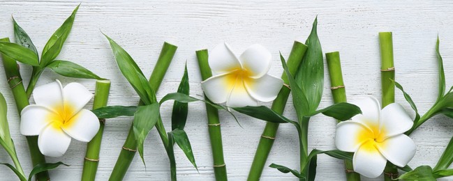 Image of Spa treatment. Flat lay composition with green bamboo stems on white wooden table. Banner design