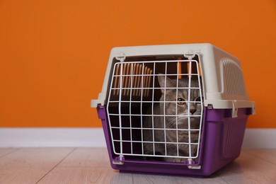 Travel with pet. Cute cat in carrier on floor near orange wall indoors, space for text