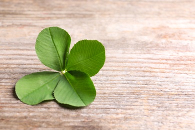 Photo of Green four-leaf clover on wooden background with space for text