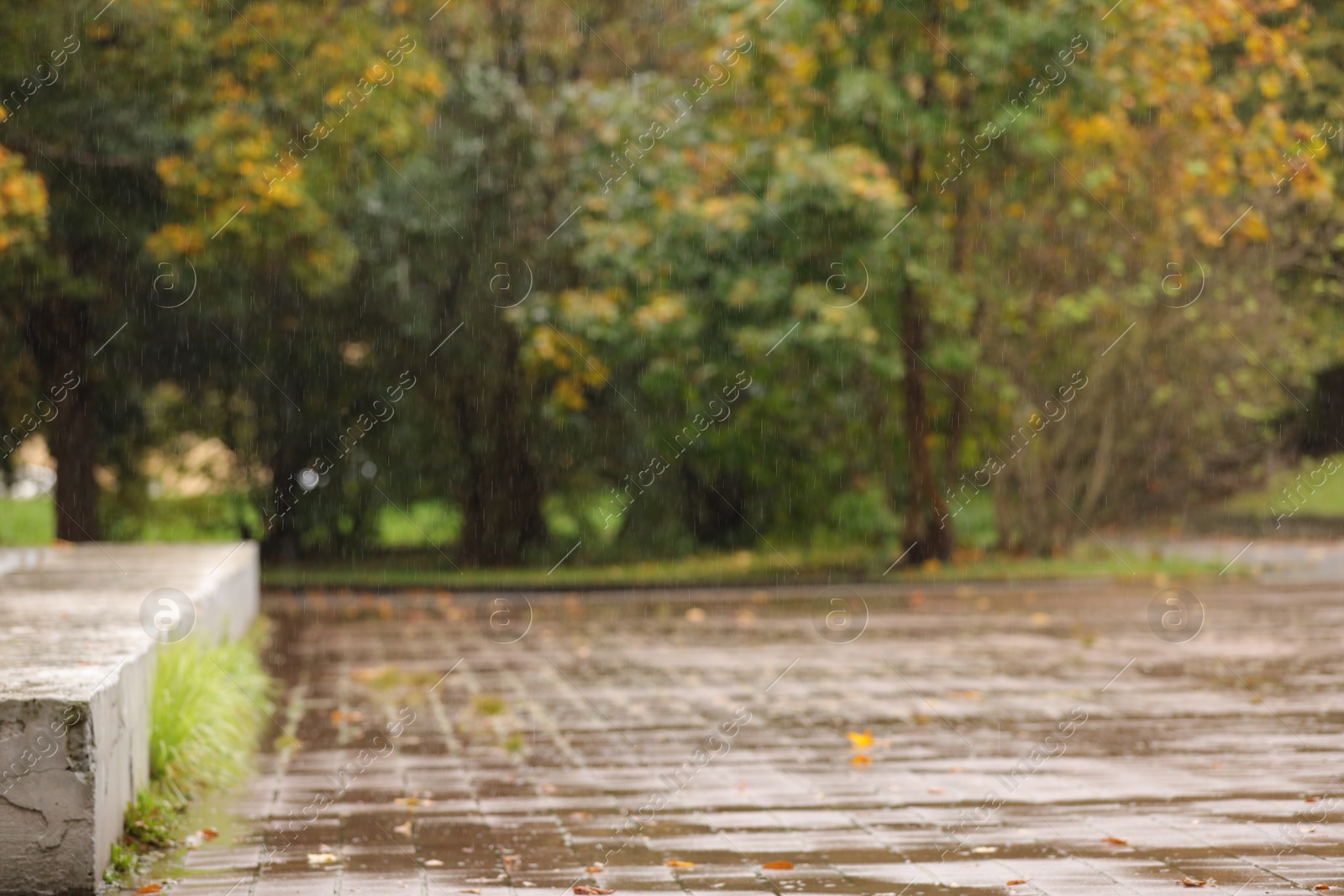 Photo of Blurred view of autumn park on rainy day