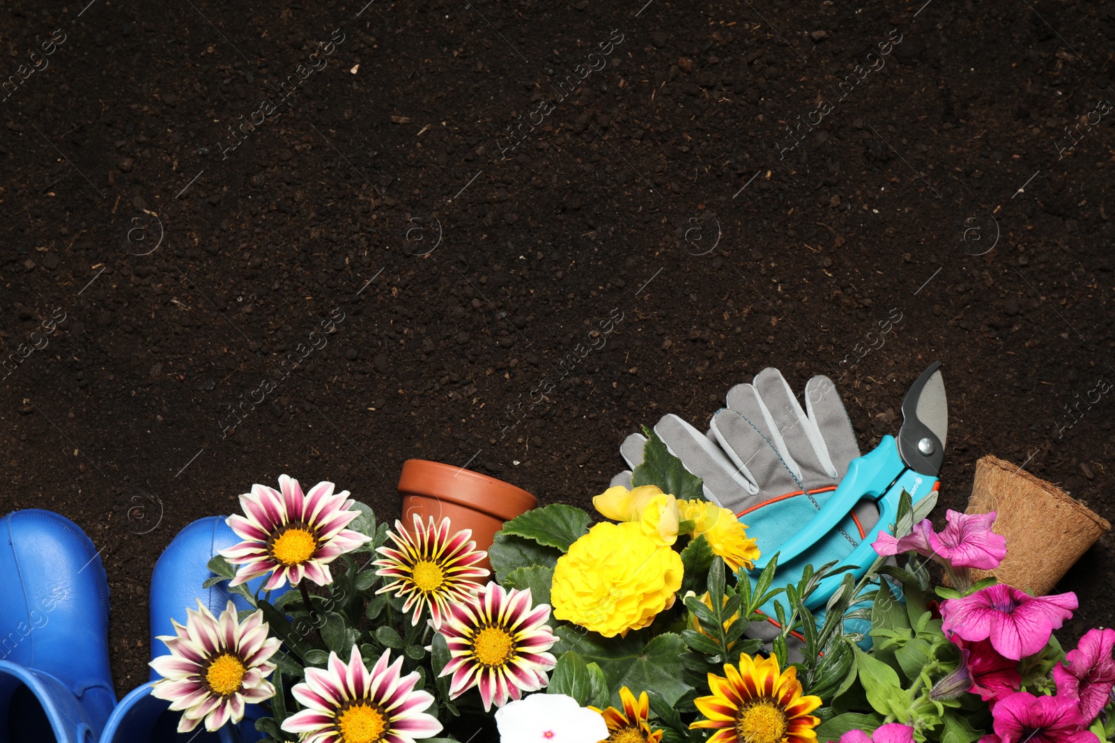 Photo of Flat lay composition with gardening tools and flowers on soil, space for text