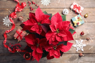 Photo of Poinsettia (traditional Christmas flower) and holiday items on wooden table, flat lay