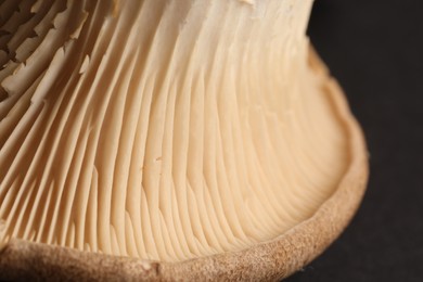 Photo of Macro photo of oyster mushroom on dark grey background