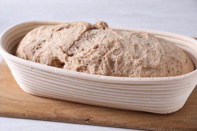 Fresh sourdough in proofing basket on light table, closeup