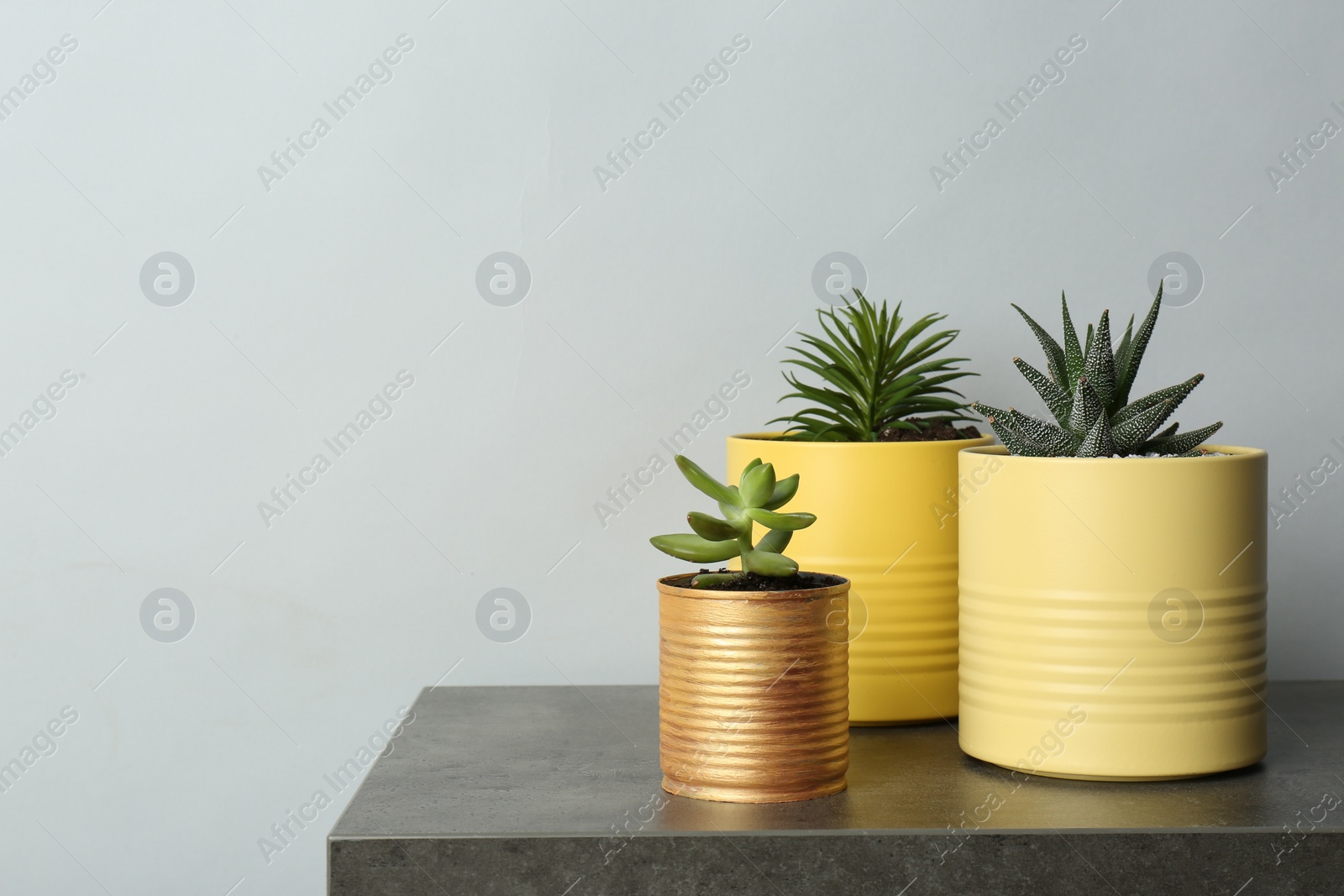 Photo of Beautiful plants in tin cans on grey stone table. Space for text