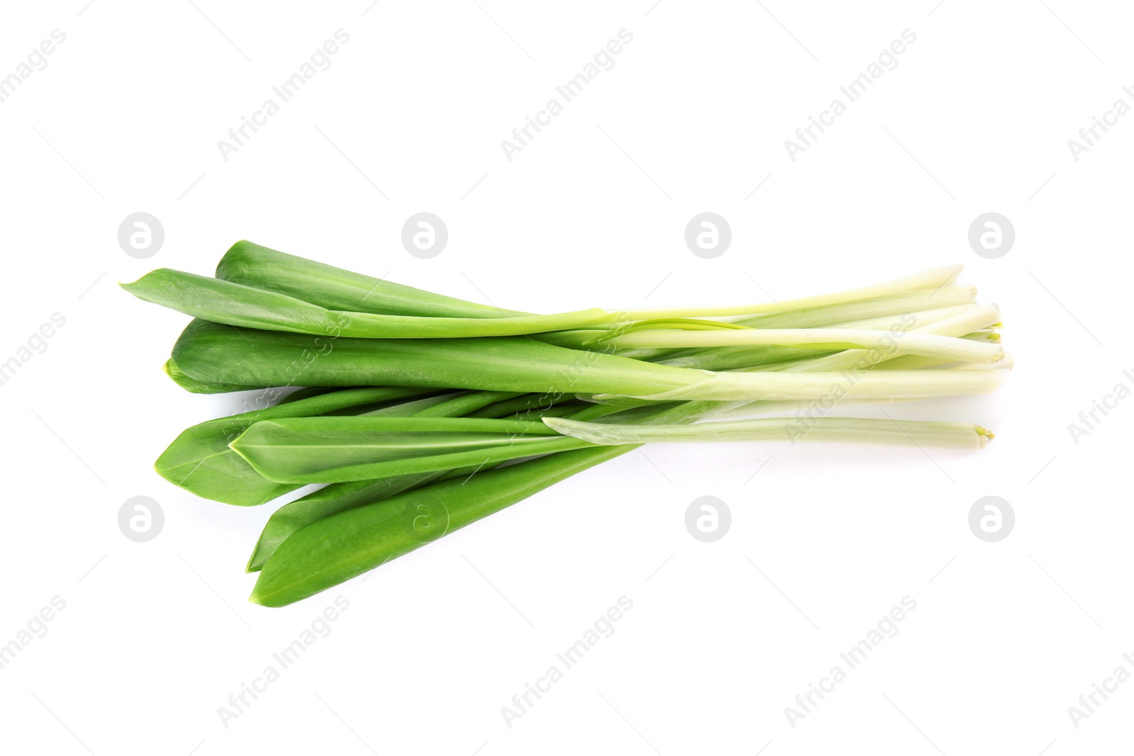 Photo of Bunch of wild garlic or ramson isolated on white