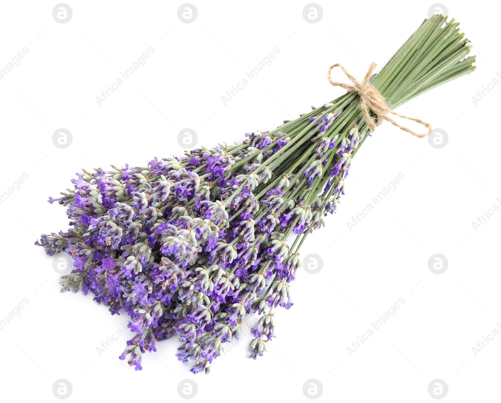 Photo of Bouquet of fresh lavender flowers on white background, top view