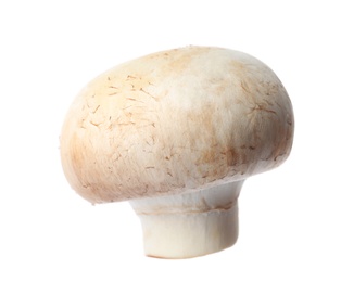 Fresh champignon mushroom isolated on white. Healthy food