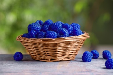 Image of Many fresh blue raspberries in wicker bowl on table, closeup