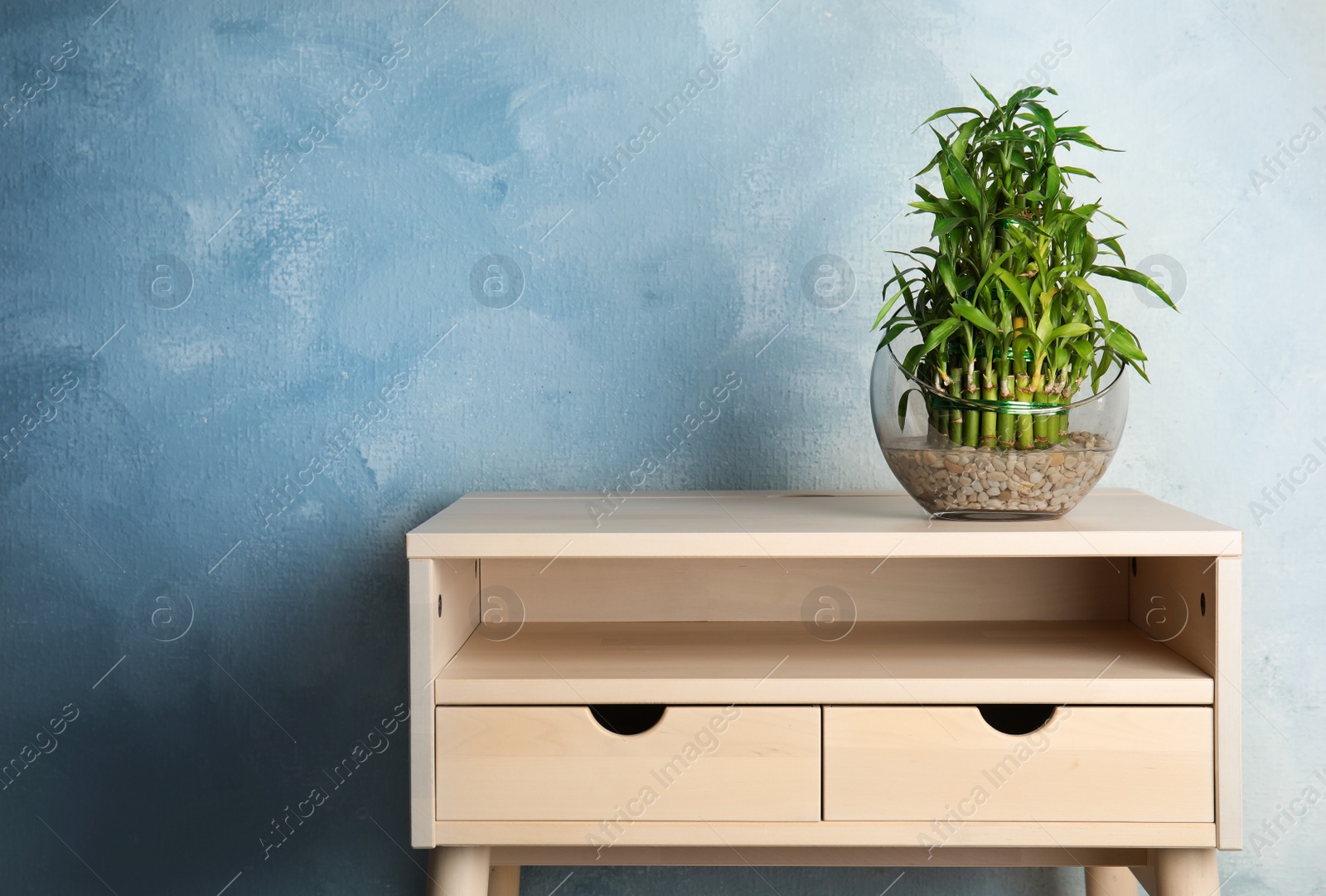 Photo of Green bamboo in glass bowl on light table. Space for text