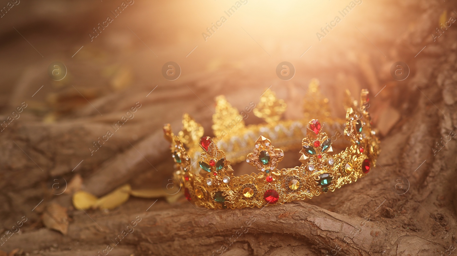 Photo of Beautiful golden crown on tree roots outdoors. Fantasy item