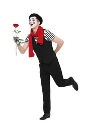 Funny mime artist with red rose posing on white background