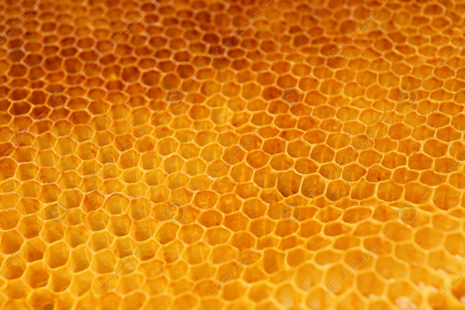 Photo of Texture of empty honeycomb as background, closeup view