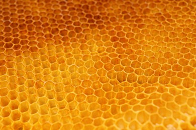 Photo of Texture of empty honeycomb as background, closeup view