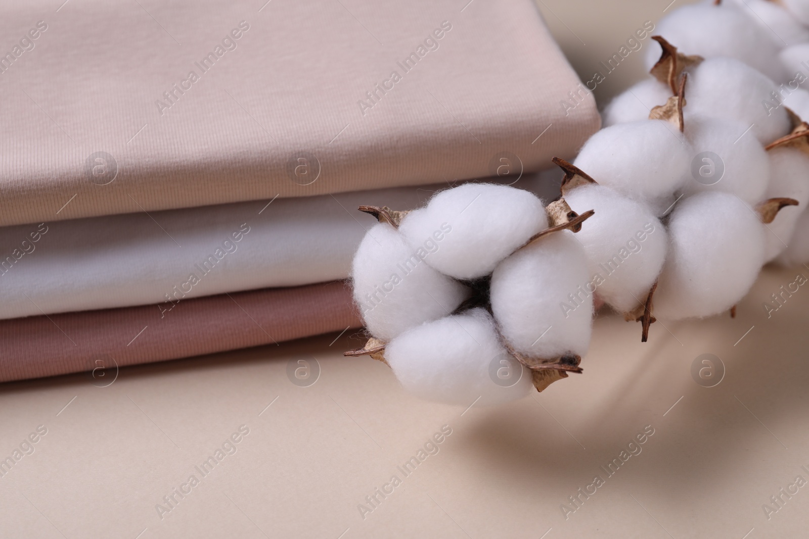 Photo of Cotton branch with fluffy flowers and t-shirts on beige background, closeup