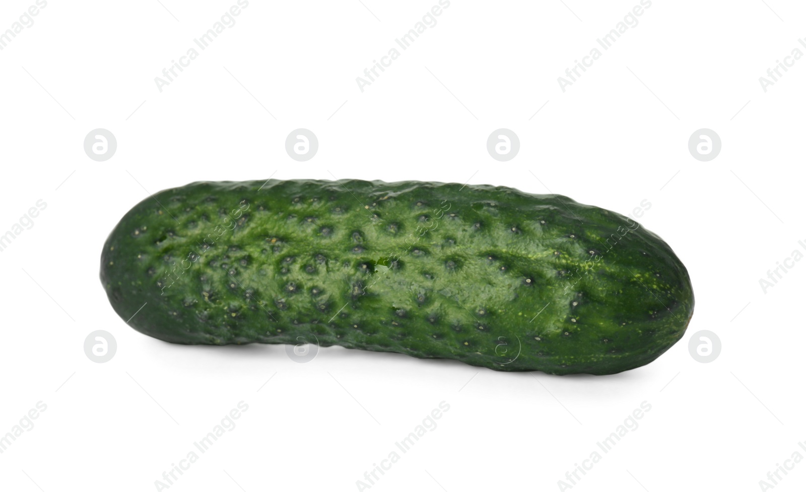 Photo of Fresh ripe green cucumber isolated on white