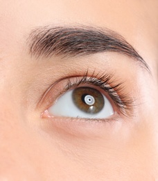 Photo of Young woman with beautiful natural eyelashes, closeup view