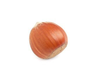 Photo of Tasty organic hazelnut in shell on white background