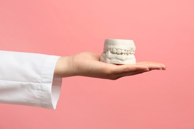 Photo of Doctor holding dental model with jaws on pink background, closeup. Cast of teeth