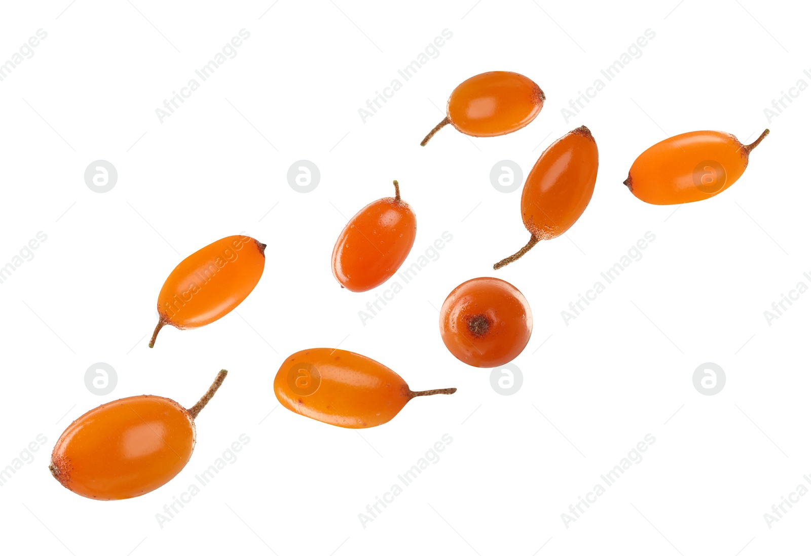 Image of Fresh ripe sea buckthorn berries on white background 