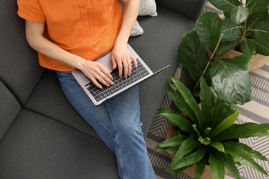 Photo of Woman using laptop on sofa near beautiful houseplants, above view