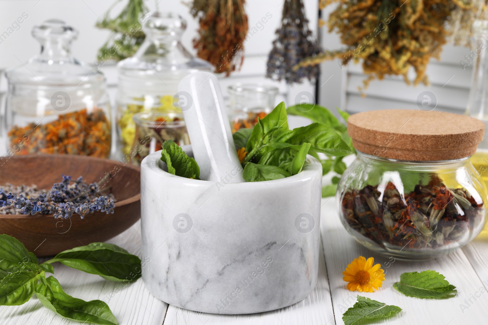 Photo of Mortar with pestle and many different medicinal herbs on white wooden table, closeup