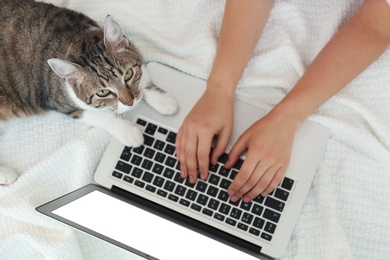 Photo of Young woman with cat and laptop on white plaid, top view. Home office concept