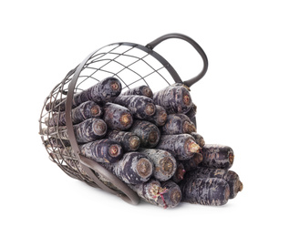 Raw black carrots in metal basket isolated on white